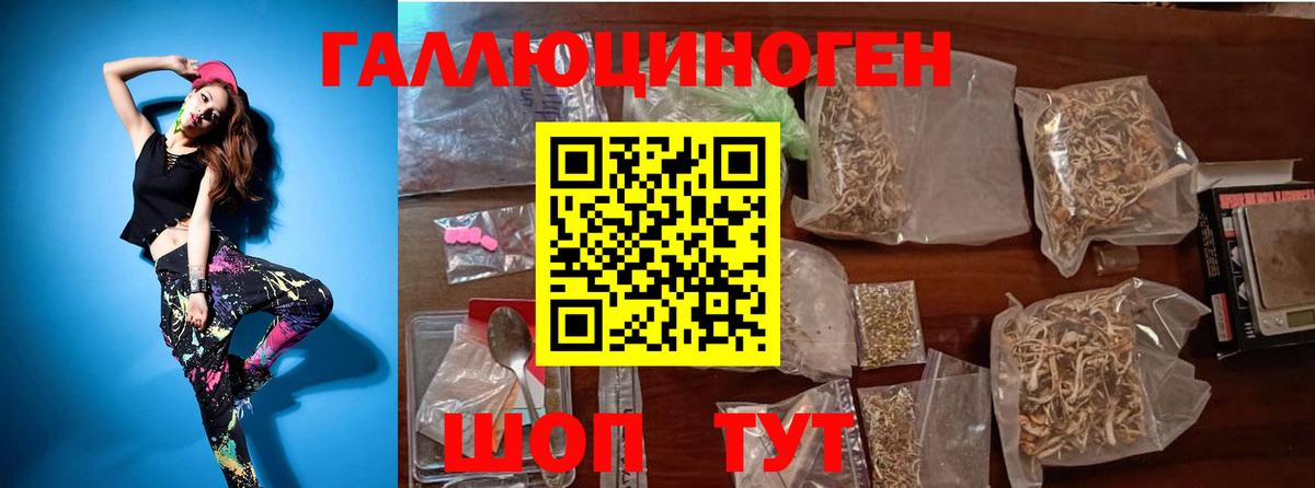 Тихорецк  магазин продажи наркотиков  Вход с VPN  Псилоцибиновые грибы Cubensis 