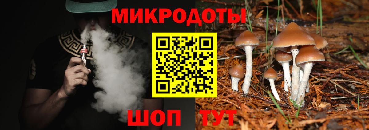 Псилоцибиновые грибы прущие грибы Тихорецк
