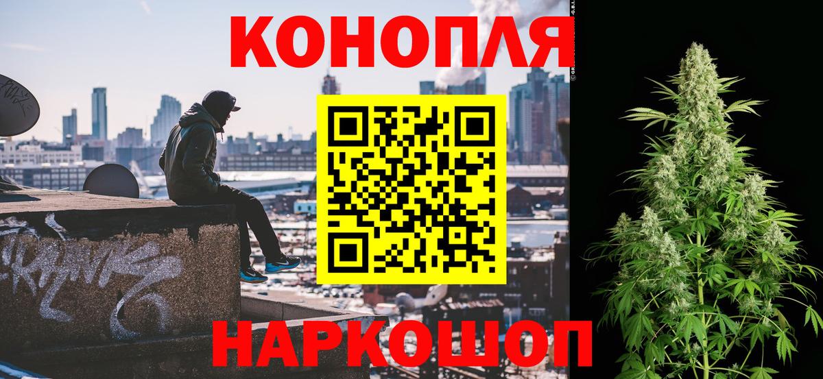 Конопля THC 21%  Вход с VPN  Марихуана план  Канабис сатива  Тихорецк 